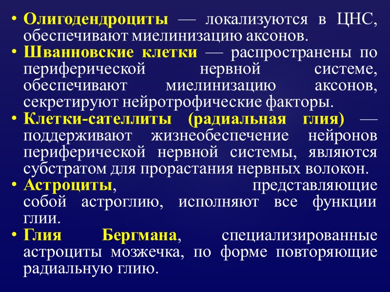 Олигодендроциты — локализуются в ЦНС, обеспечивают миелинизацию аксонов. Шванновские клетки — распространены по периферической